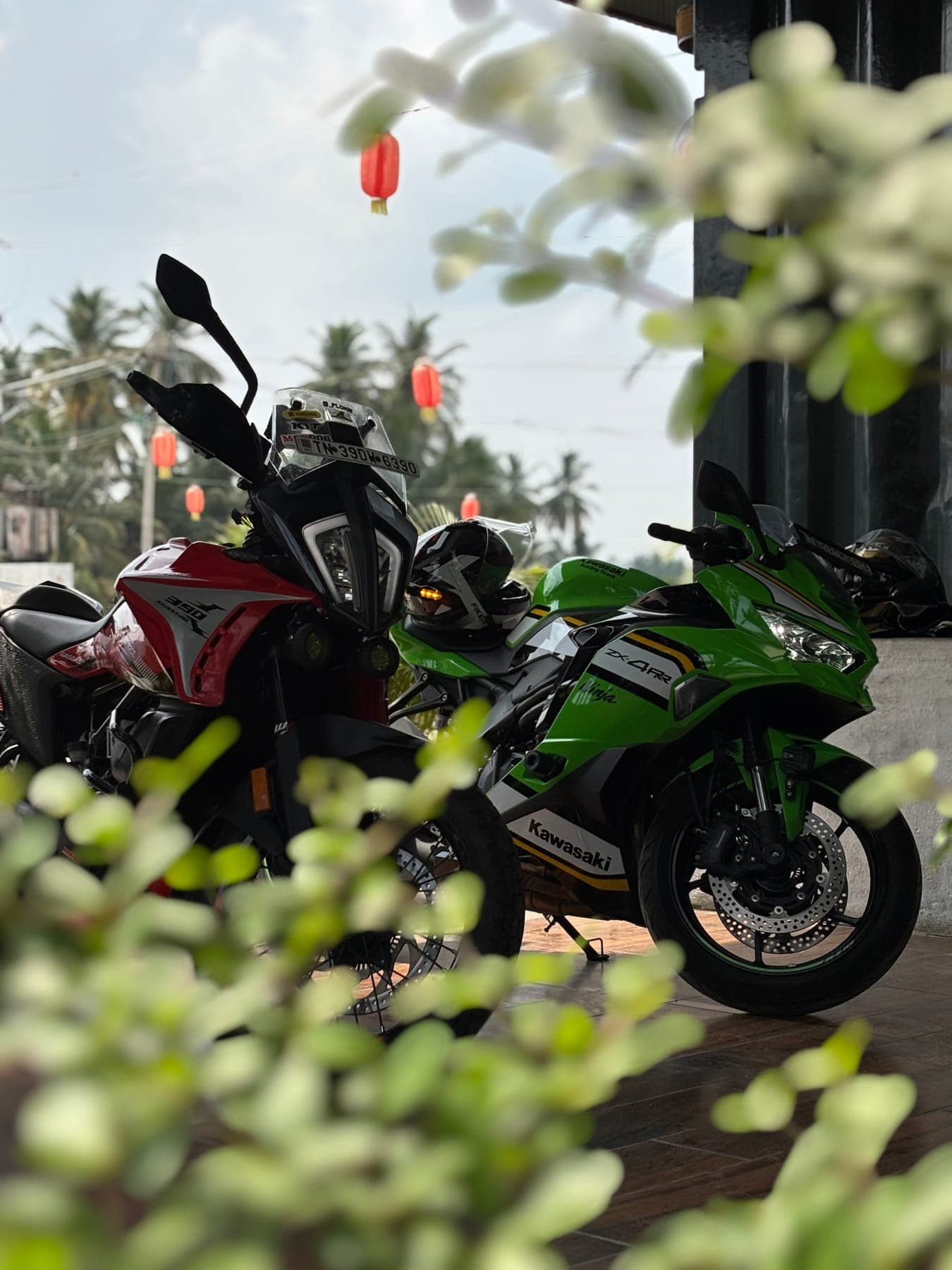 Sportbike framed with flowers